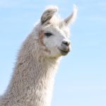 Transformasi Imigrasi Bengkulu Menuju Layanan Berkualitas