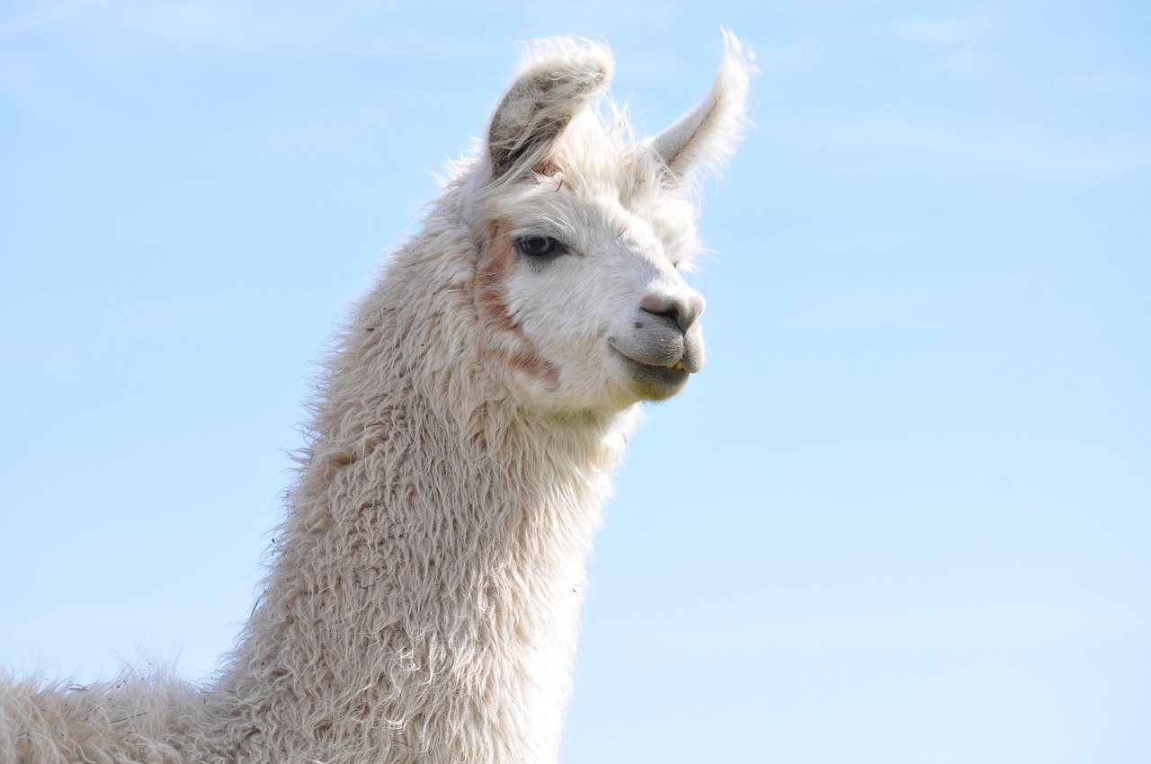 Transformasi Imigrasi Bengkulu Menuju Layanan Berkualitas