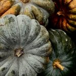 Kolaborasi untuk Pelayanan Imigrasi yang Lebih Baik di Bengkulu