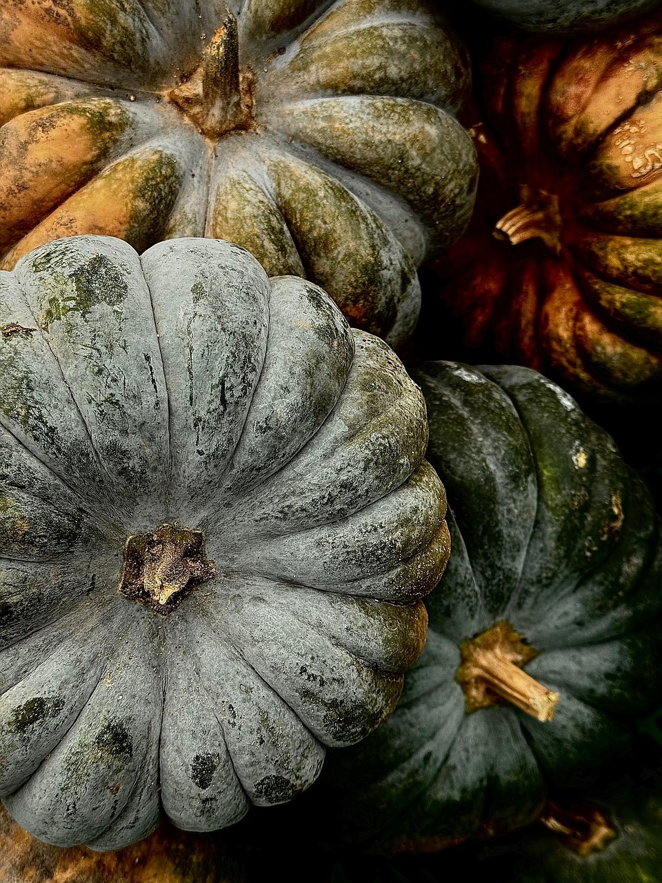 Kolaborasi untuk Pelayanan Imigrasi yang Lebih Baik di Bengkulu